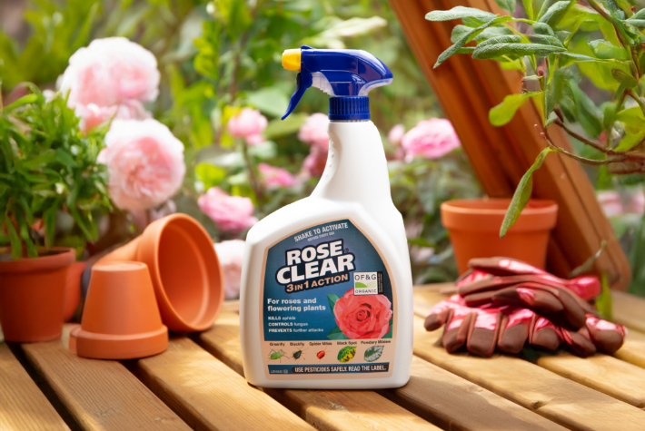 Caring for your flowers