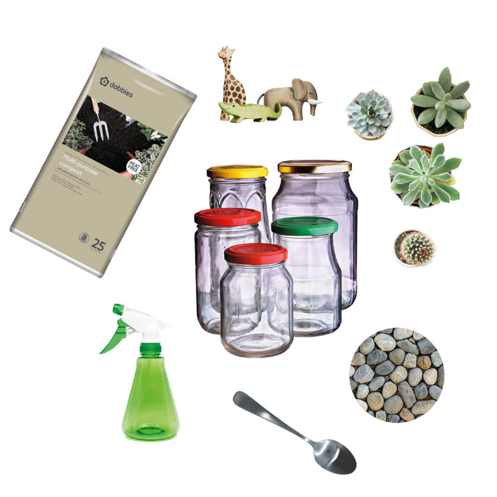 Create a rainforest in a jar