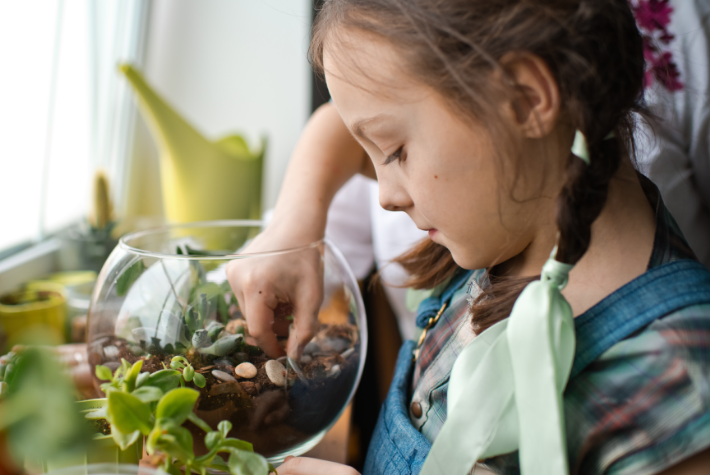 Create a rainforest in a jar