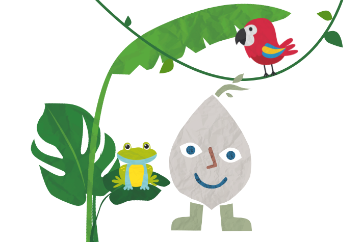 Exploring the rainforest