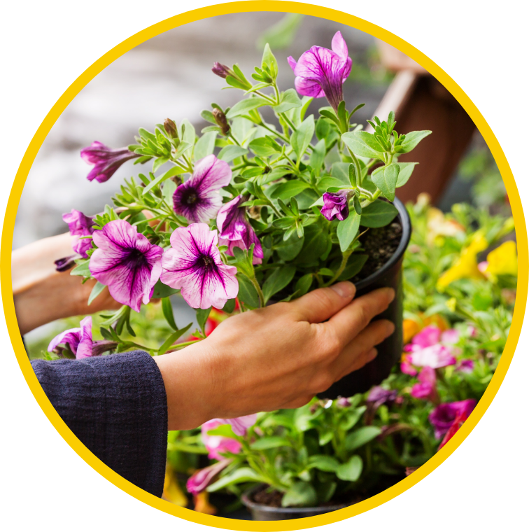 10percent off plants-bulbs-seeds