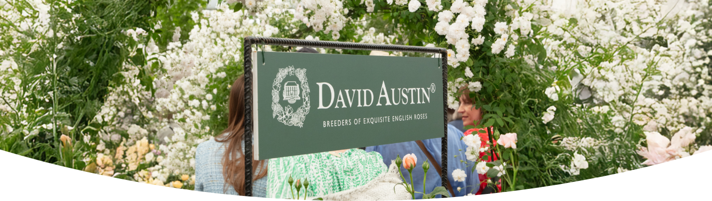 RHS Chelsea round-up