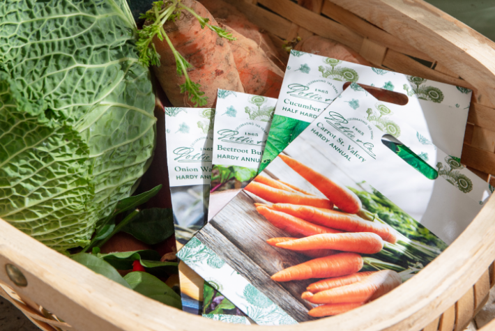 Seeds to sow in July