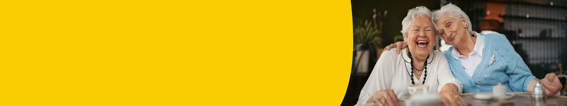 Club Plus-Header-desktop