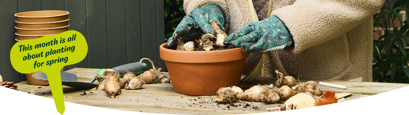 Gardening tips for September