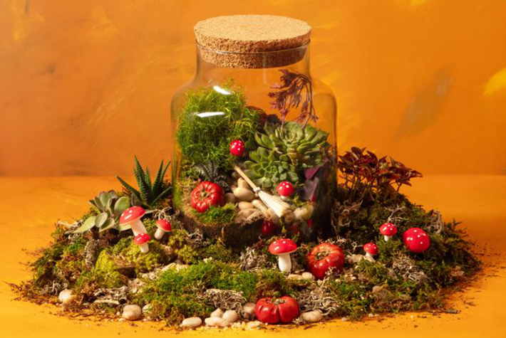 Planting & Afternoon Tea