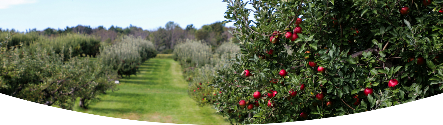 Learn about incredible orchards