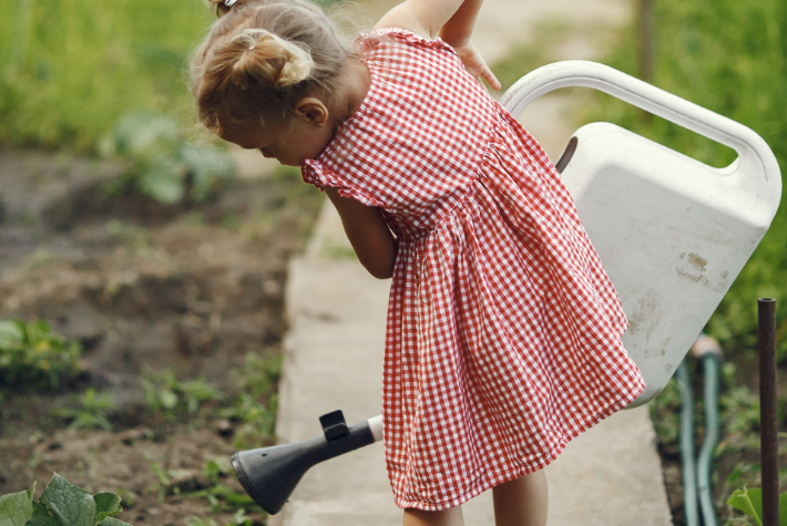 Learn about incredible orchards