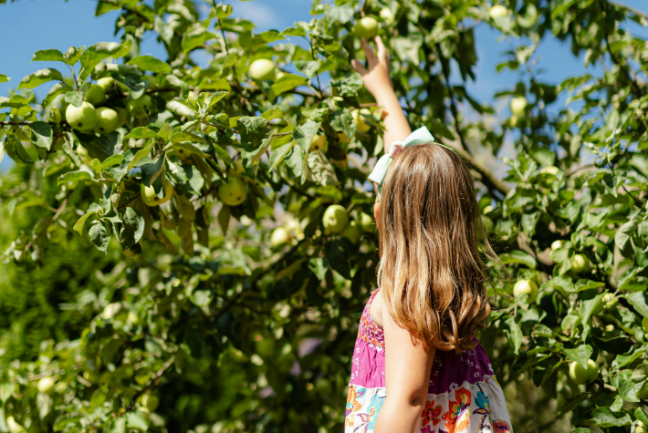 Learn about incredible orchards