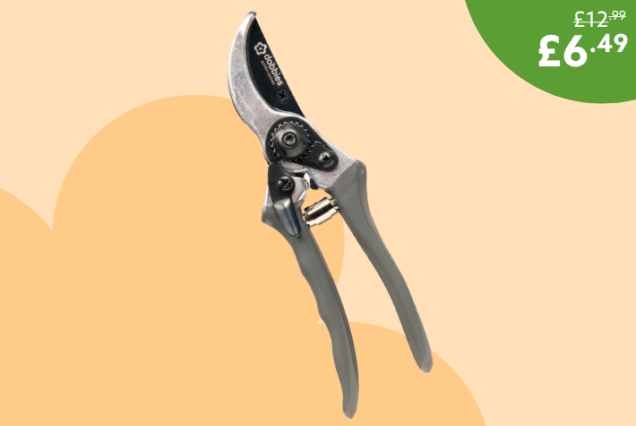 Dobbies secateurs