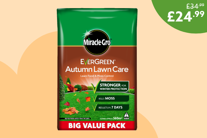 Evergreen autumn lawn care bag 360sqm