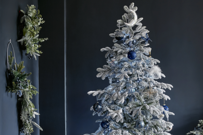 Christmas trees & wreaths