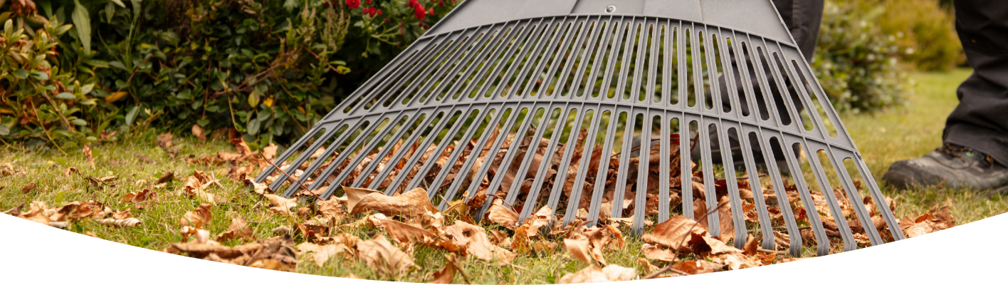 Tidy up your autumn garden