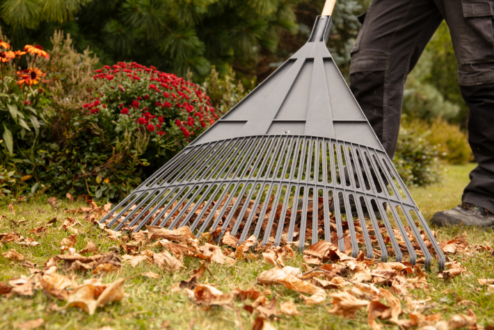 Tidy up your autumn garden