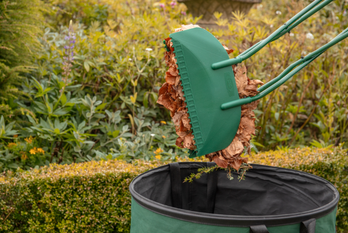 Tidy up your autumn garden
