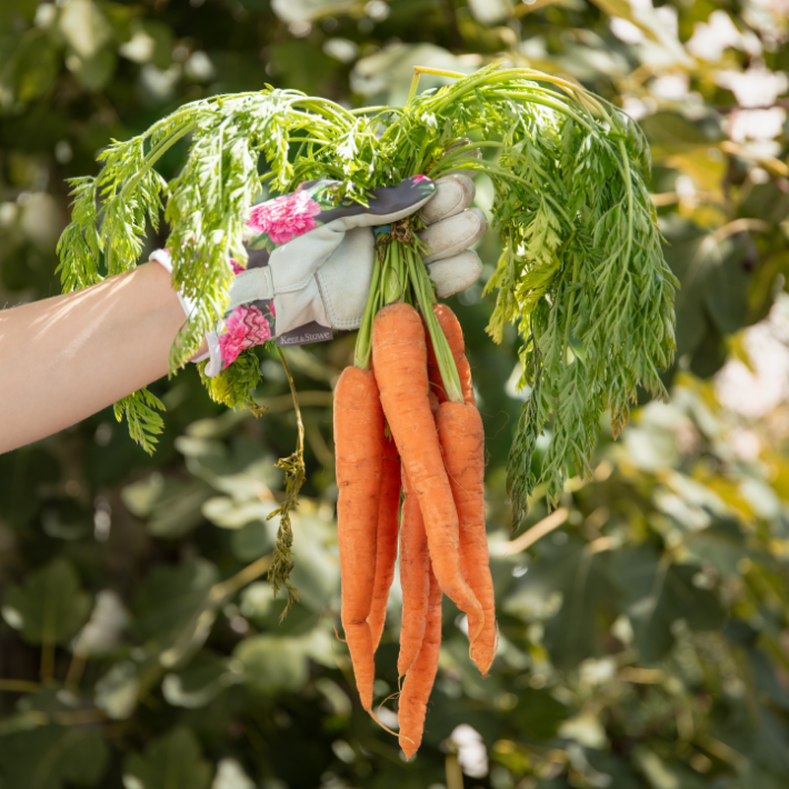 Gardening tips for August