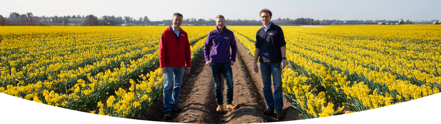 Taylor’s Top 10 spring flowering bulbs