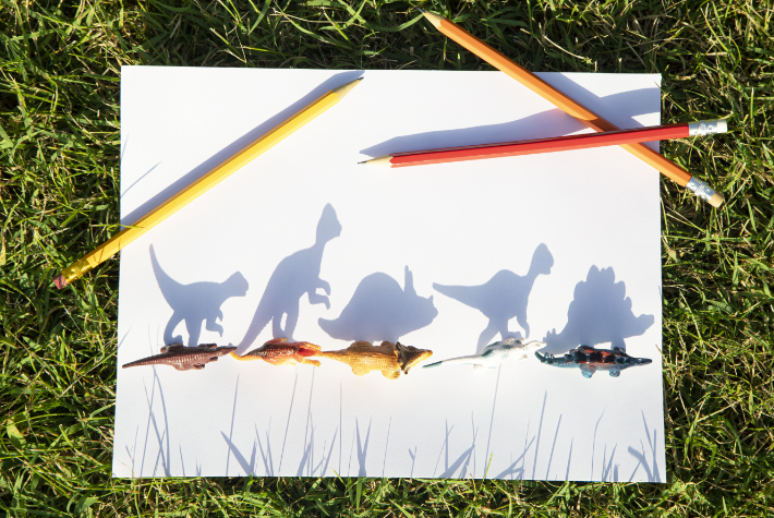 Create dinosaur shadow art