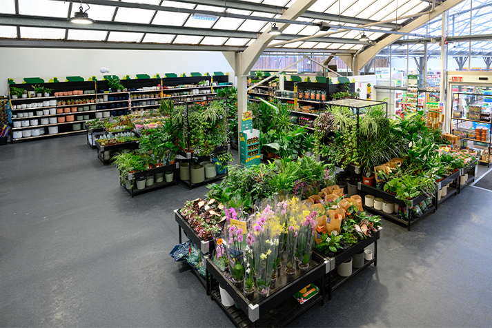 Dobbies Beaconsfield