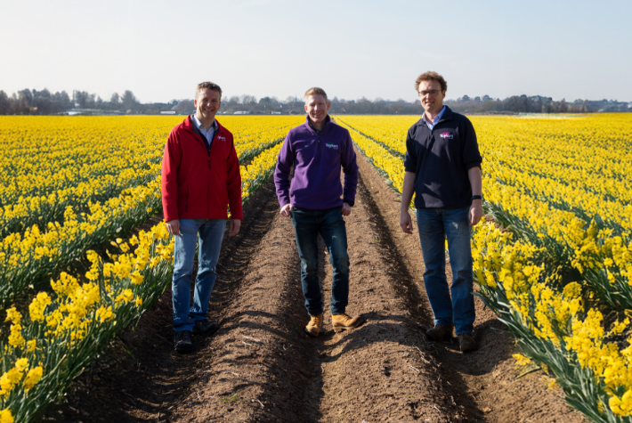 Taylor’s Top 10 spring flowering bulbs