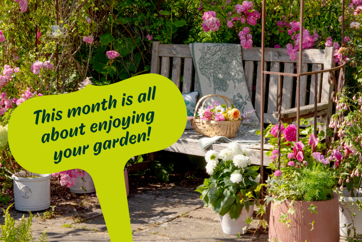 Gardening tips for August