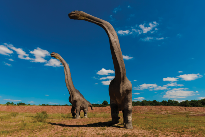 Learn about prehistoric plants