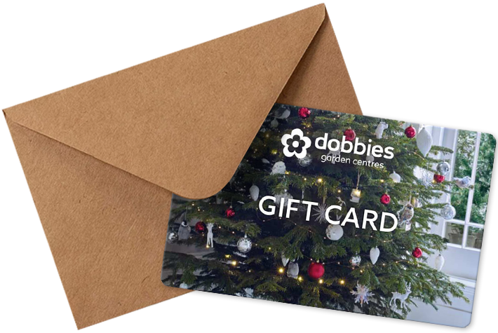 Dobbies gift card