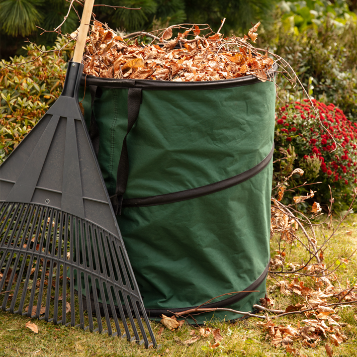 Gardening tips for October