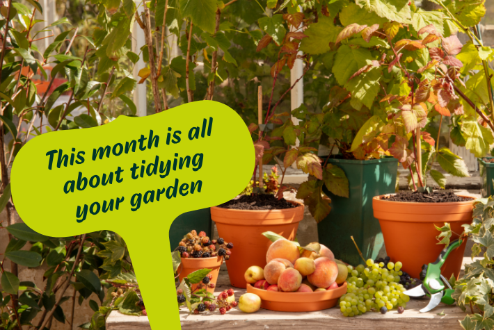 Gardening tips for October
