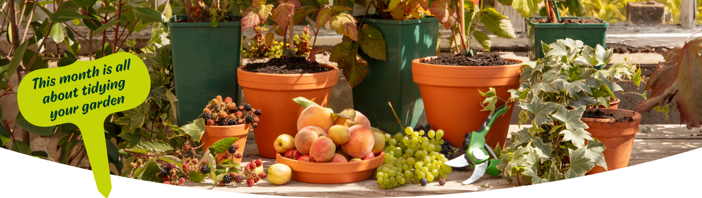 Gardening tips for October