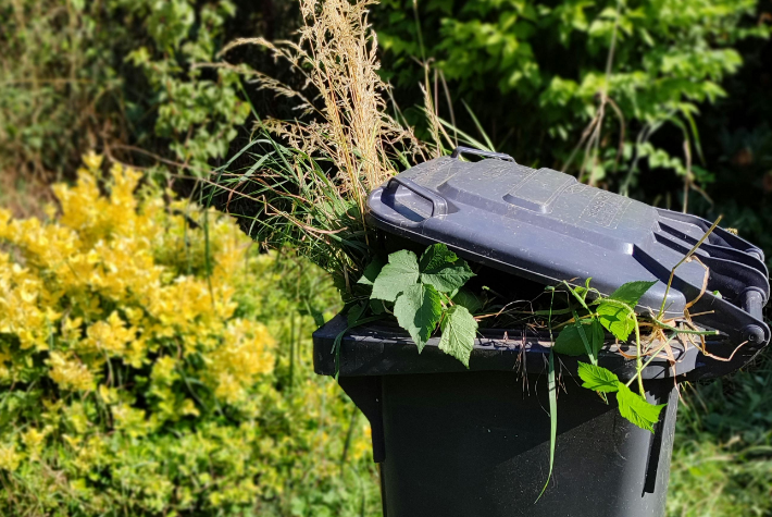 Learn about gross gardens