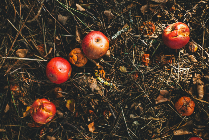 Learn about gross gardens