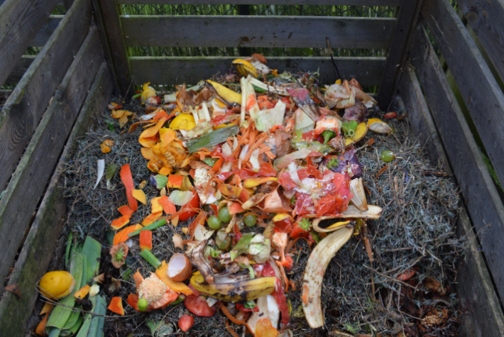 Learn about gross gardens