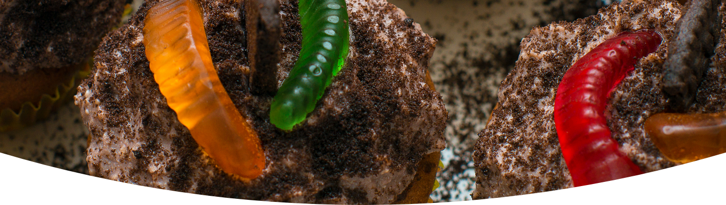 Make your own edible wiggly worms in dirt