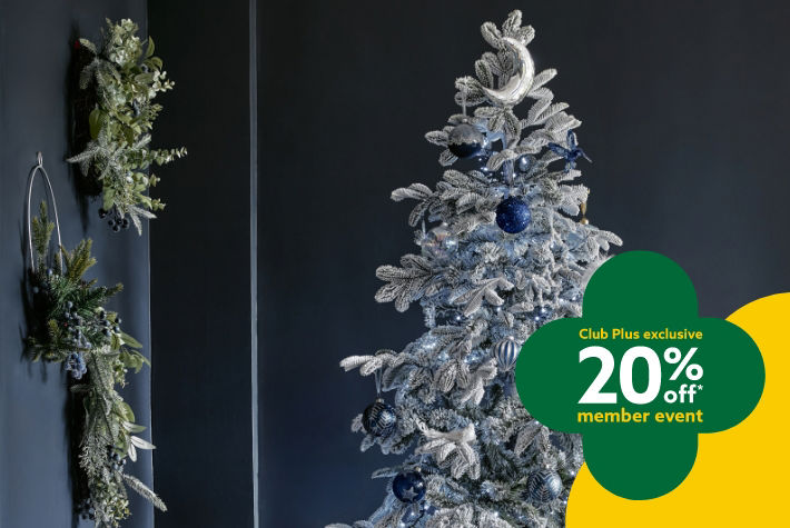 Christmas trees & wreaths