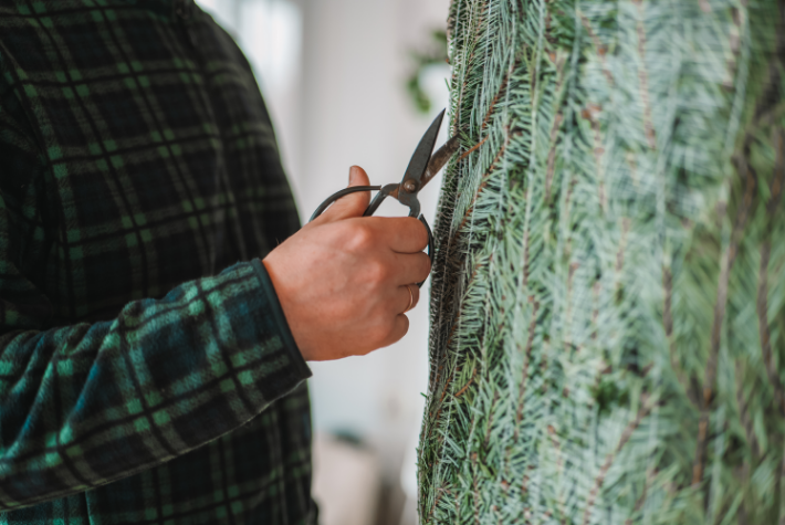 How to prepare a real Christmas tree