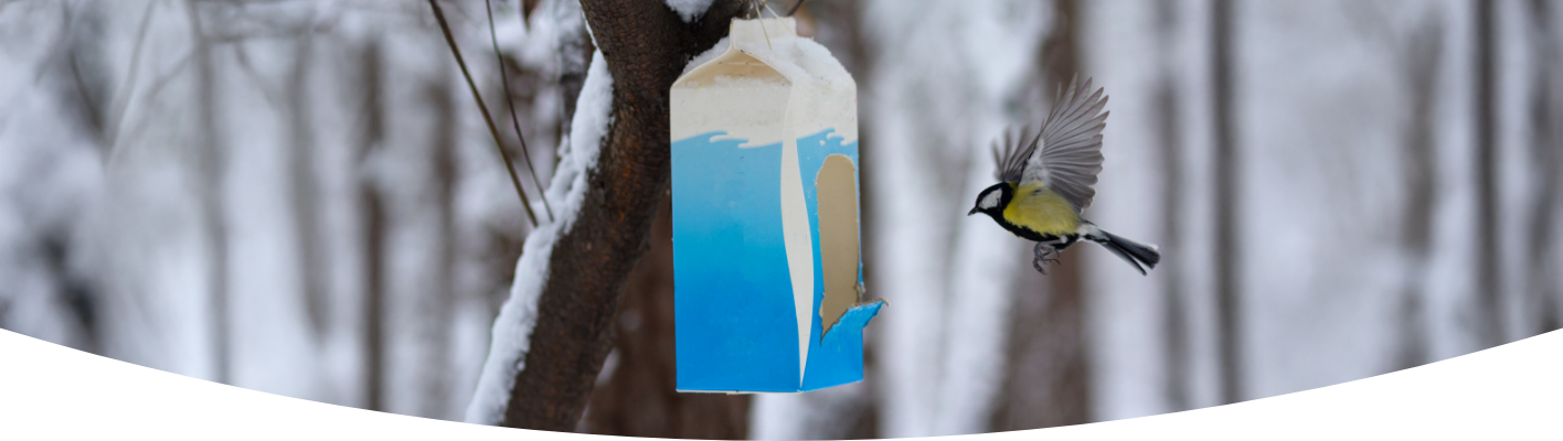 Make a hanging bird feeder