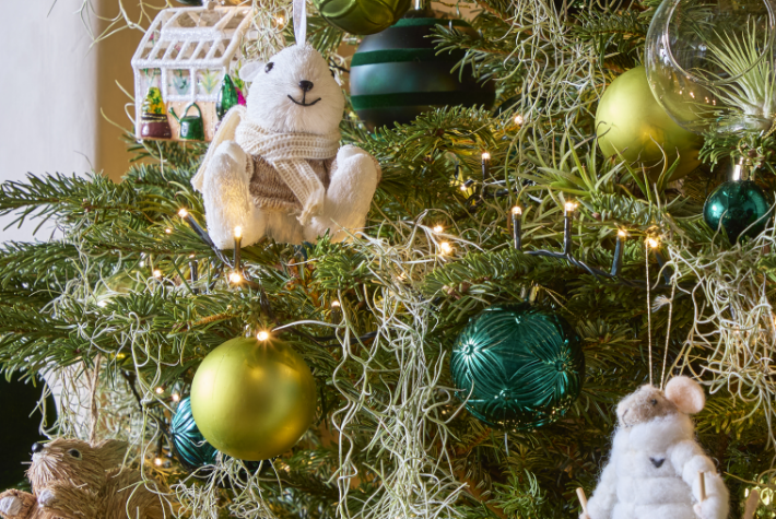 How to choose a real Christmas tree