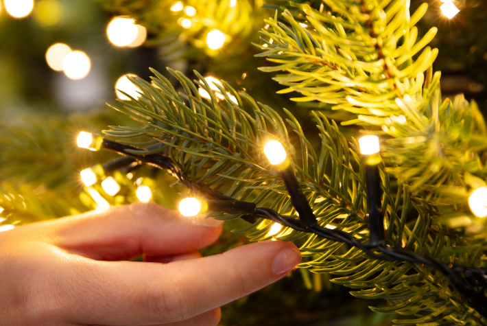 Add lights to your tree