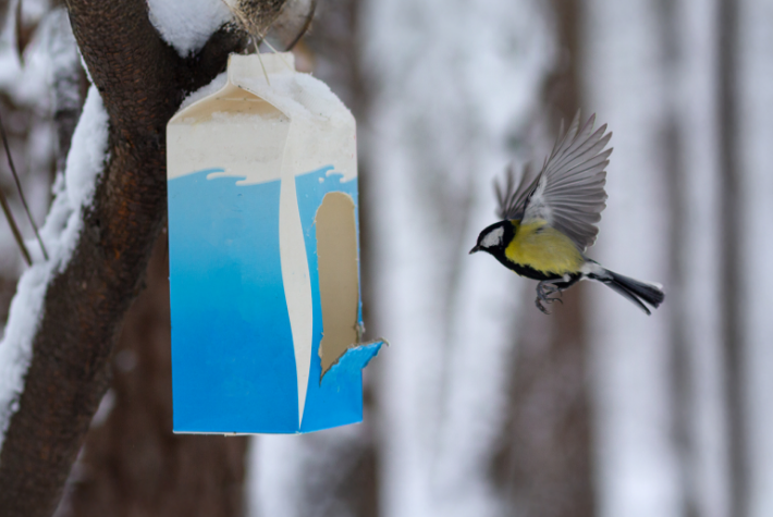 Make a hanging bird feeder