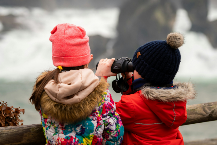 Winter bird detective