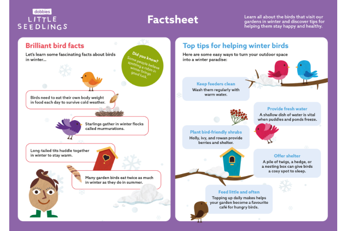 Little Seedlings Factsheet November 2025