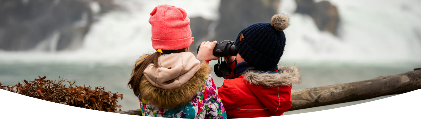 Winter Bird Watching