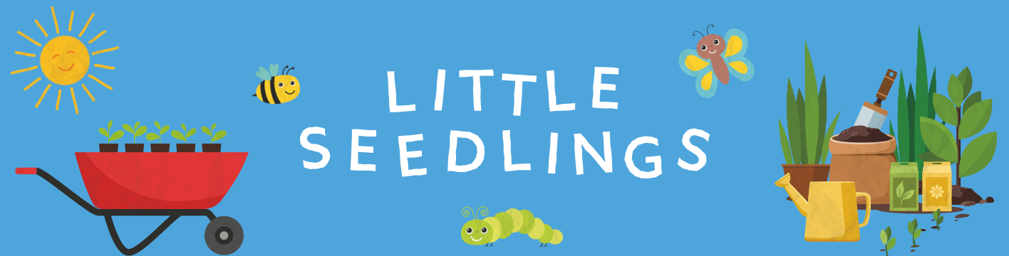 Little Seedlings