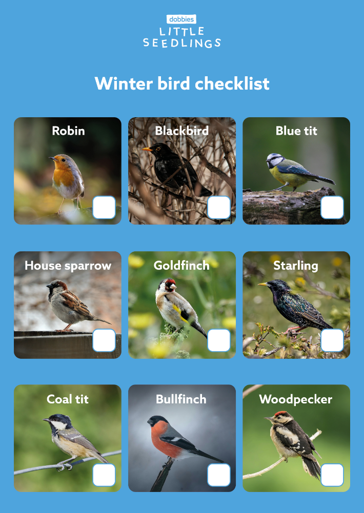 Winter bird checklist