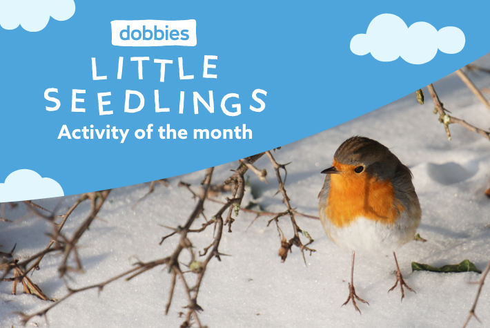 Bird feeders and encouraging winter birds into the garden