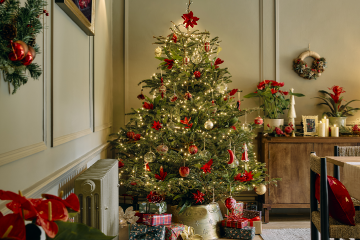 How long do real Christmas trees last?