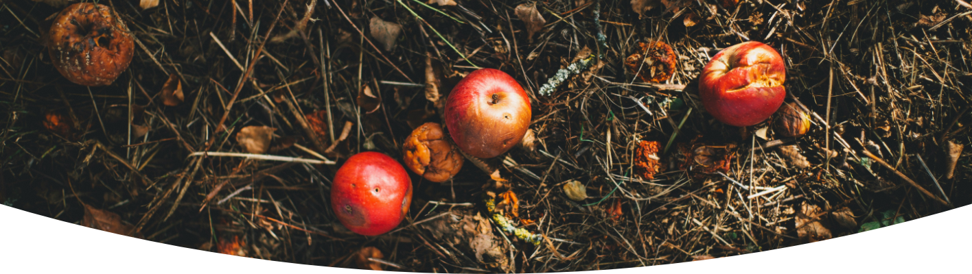 Learn about gross gardens