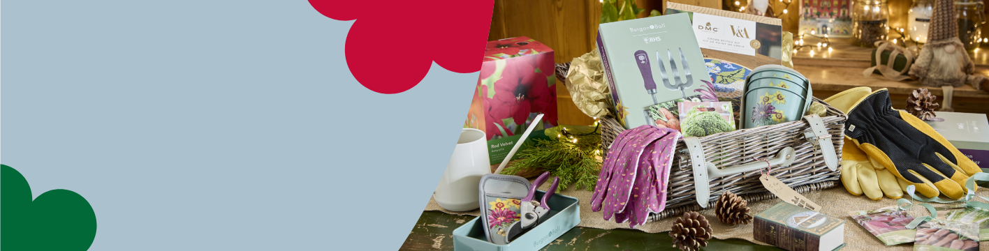 Christmas gifts under £50