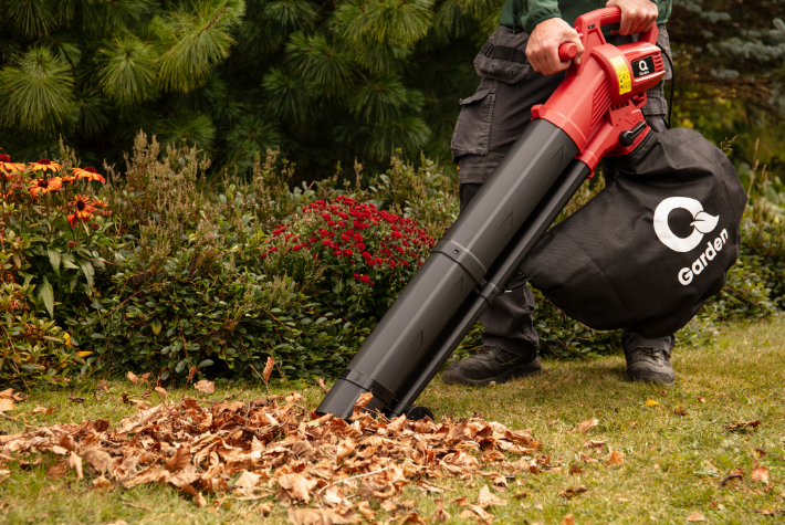 Gardening tips for November